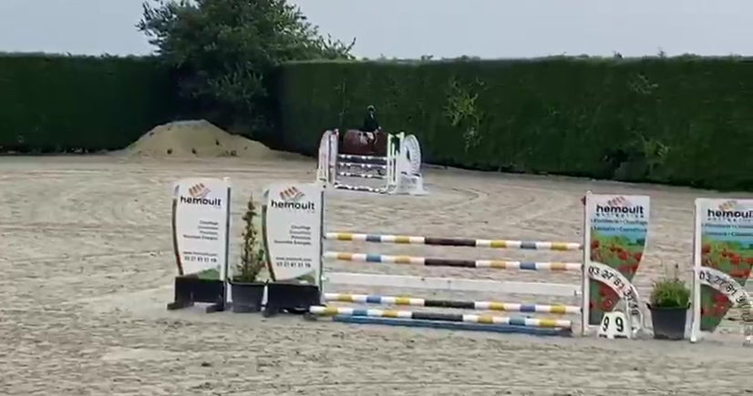 GEISHA SANCOURT CC 4 ANS